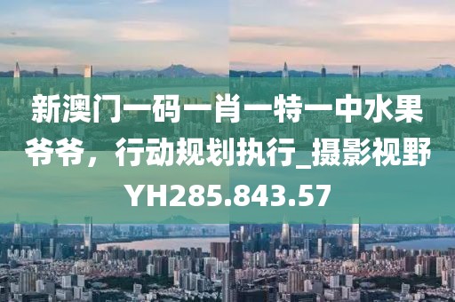 新澳门一码一肖一特一中水果爷爷，行动规划执行_摄影视野YH285.843.57