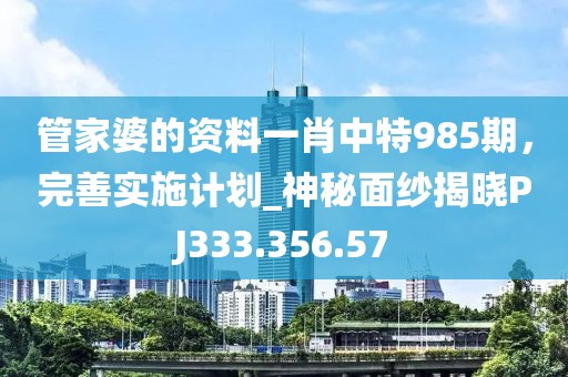 管家婆的资料一肖中特985期，完善实施计划_神秘面纱揭晓PJ333.356.57