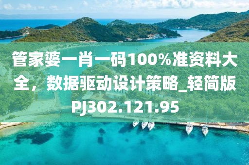 管家婆一肖一码100%准资料大全，数据驱动设计策略_轻简版PJ302.121.95