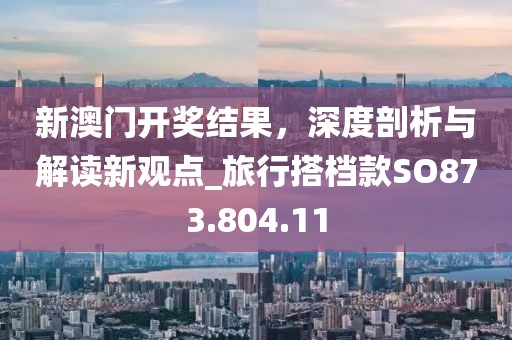 新澳门开奖结果，深度剖析与解读新观点_旅行搭档款SO873.804.11