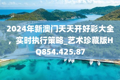 2024年新澳门天天开好彩大全，实时执行策略_艺术珍藏版HQ854.425.87