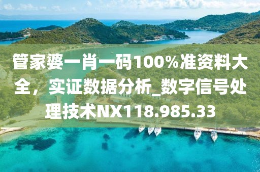 管家婆一肖一码100%准资料大全，实证数据分析_数字信号处理技术NX118.985.33
