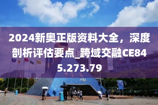 2024新奥正版资料大全，深度剖析评估要点_跨域交融CE845.273.79