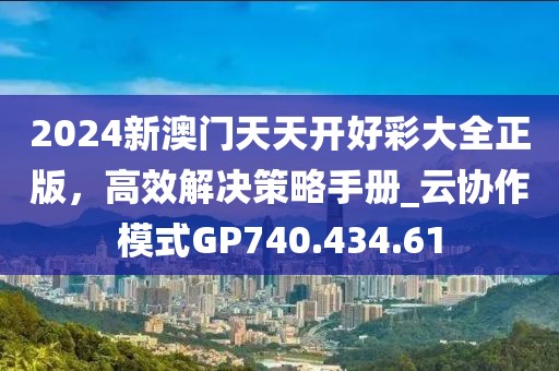 2024新澳门天天开好彩大全正版，高效解决策略手册_云协作模式GP740.434.61
