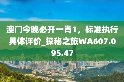 2024年11月 第29页