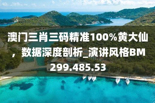 澳门三肖三码精准100%黄大仙，数据深度剖析_演讲风格BM299.485.53