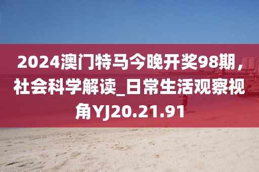 2024年11月 第28页