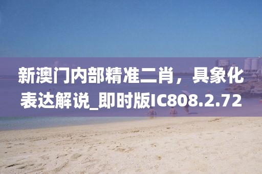 新澳门内部精准二肖，具象化表达解说_即时版IC808.2.72