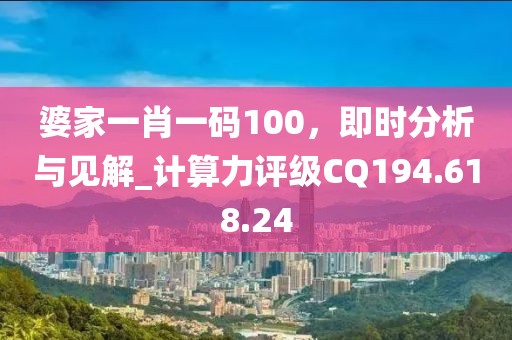 婆家一肖一码100，即时分析与见解_计算力评级CQ194.618.24