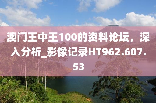 澳门王中王100的资料论坛，深入分析_影像记录HT962.607.53