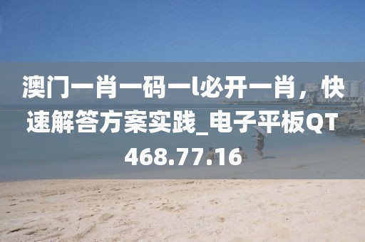 2024年11月 第23页