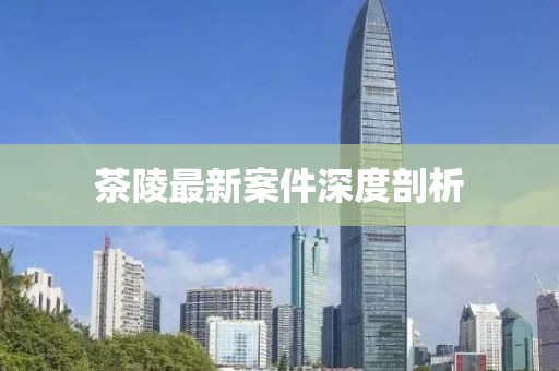 茶陵最新案件深度剖析
