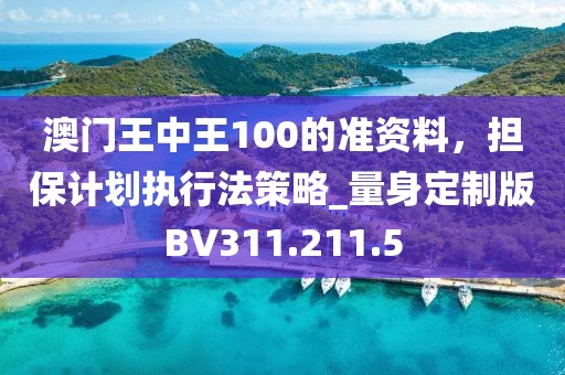 澳门王中王100的准资料，担保计划执行法策略_量身定制版BV311.211.5