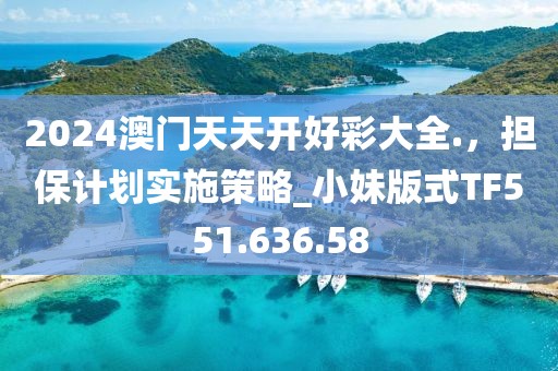 2024澳门天天开好彩大全.，担保计划实施策略_小妹版式TF551.636.58