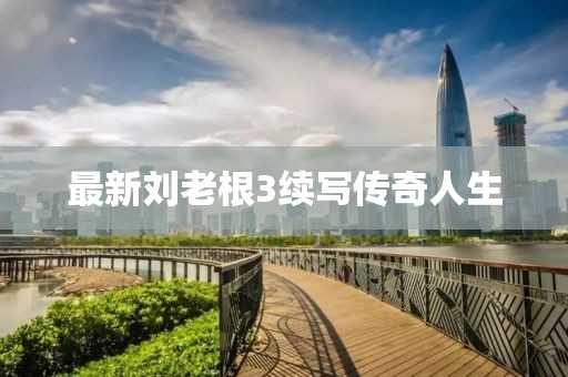 最新刘老根3续写传奇人生