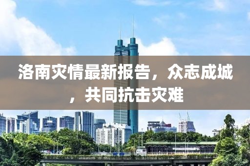 洛南灾情最新报告，众志成城，共同抗击灾难