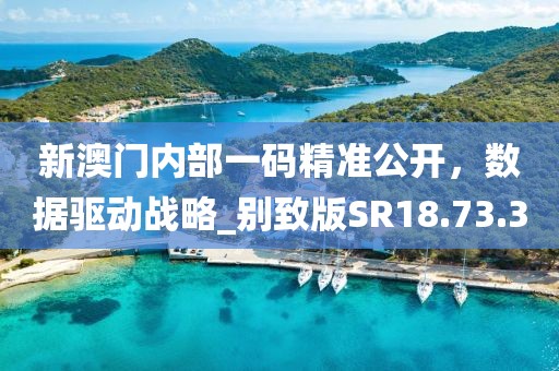 新澳门内部一码精准公开，数据驱动战略_别致版SR18.73.30