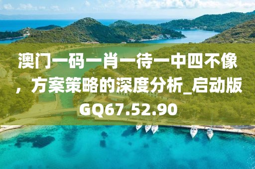 澳门一码一肖一待一中四不像，方案策略的深度分析_启动版GQ67.52.90