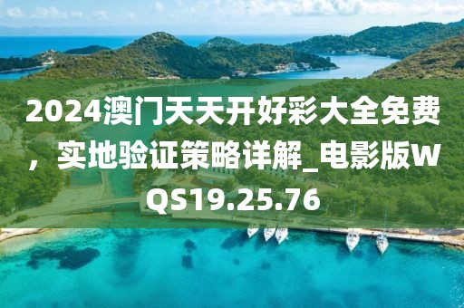 2024澳门天天开好彩大全免费，实地验证策略详解_电影版WQS19.25.76