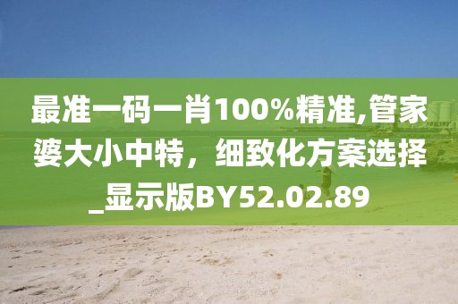 最准一码一肖100%精准,管家婆大小中特，细致化方案选择_显示版BY52.02.89