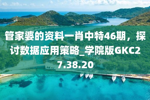 管家婆的资料一肖中特46期，探讨数据应用策略_学院版GKC27.38.20