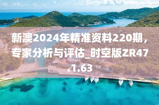 新澳2024年精准资料220期，专家分析与评估_时空版ZR47.1.63