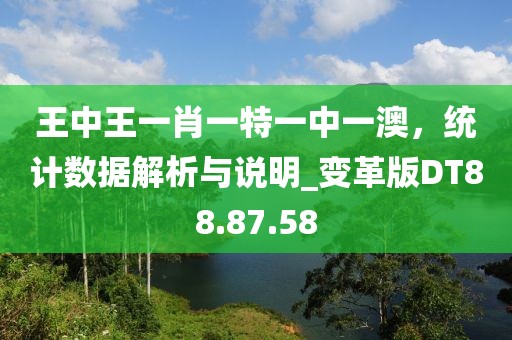 王中王一肖一特一中一澳，统计数据解析与说明_变革版DT88.87.58