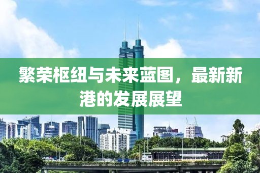 繁荣枢纽与未来蓝图，最新新港的发展展望