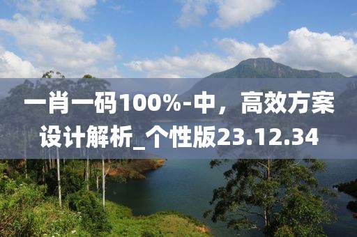 一肖一码100%-中，高效方案设计解析_个性版23.12.34