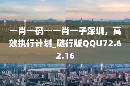 一肖一码一一肖一子深圳，高效执行计划_随行版QQU72.62.16
