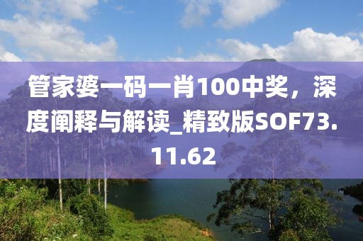 管家婆一码一肖100中奖，深度阐释与解读_精致版SOF73.11.62