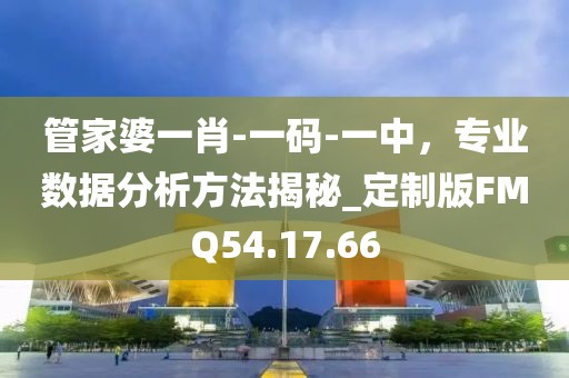 管家婆一肖-一码-一中，专业数据分析方法揭秘_定制版FMQ54.17.66