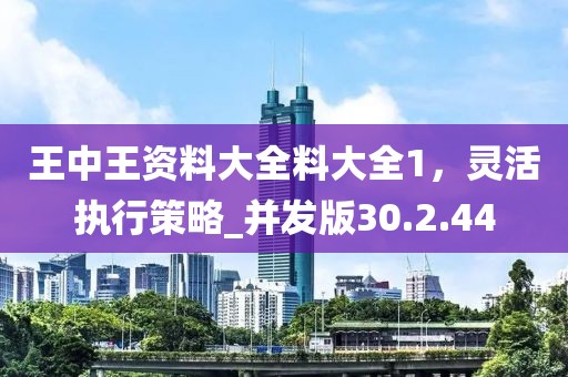 王中王资料大全料大全1，灵活执行策略_并发版30.2.44