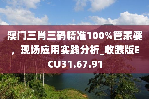 澳门三肖三码精准100%管家婆，现场应用实践分析_收藏版ECU31.67.91