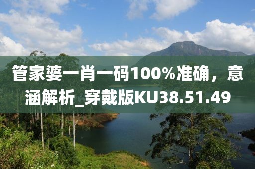 管家婆一肖一码100%准确，意涵解析_穿戴版KU38.51.49