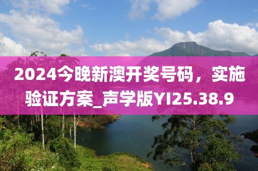 2024今晚新澳开奖号码，实施验证方案_声学版YI25.38.9