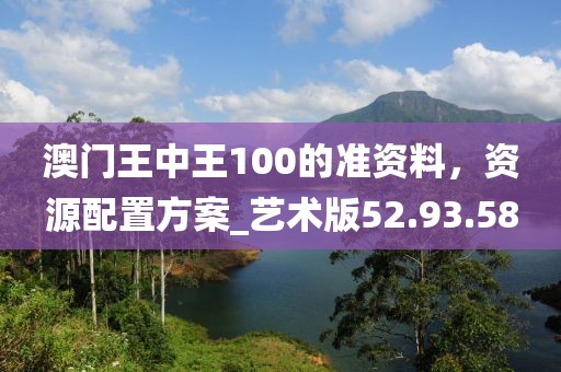 澳门王中王100的准资料，资源配置方案_艺术版52.93.58