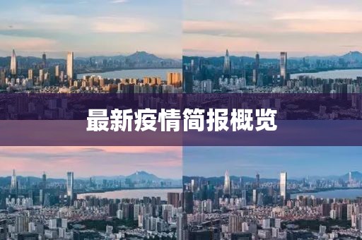 最新疫情简报概览
