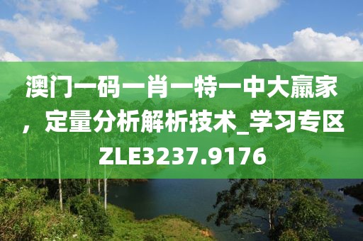 澳门一码一肖一特一中大羸家，定量分析解析技术_学习专区ZLE3237.9176