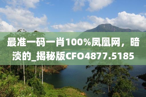 最准一码一肖100%凤凰网，暗淡的_揭秘版CFO4877.5185