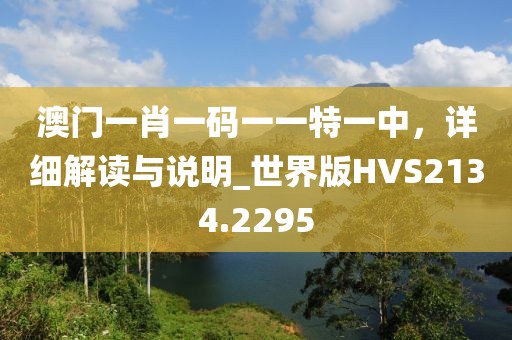澳门一肖一码一一特一中，详细解读与说明_世界版HVS2134.2295