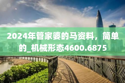 2024年管家婆的马资料，简单的_机械形态4600.6875