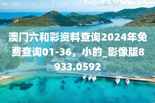 澳门六和彩资料查询2024年免费查询01-36，小的_影像版8933.0592