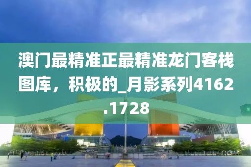 澳门最精准正最精准龙门客栈图库，积极的_月影系列4162.1728