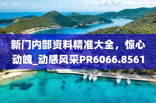 新门内部资料精准大全，惊心动魄_动感风采PR6066.8561