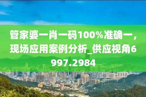 管家婆一肖一码100%准确一，现场应用案例分析_供应视角6997.2984