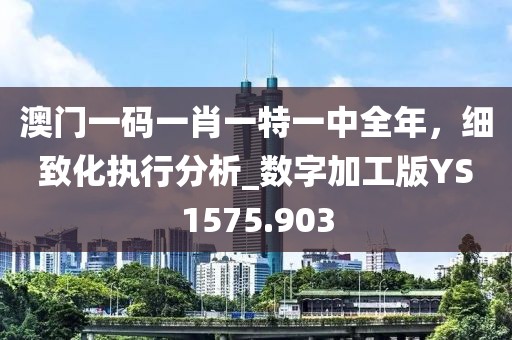 澳门一码一肖一特一中全年，细致化执行分析_数字加工版YS1575.903