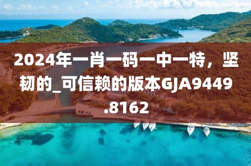 2024年一肖一码一中一特，坚韧的_可信赖的版本GJA9449.8162