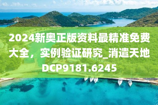 2024新奥正版资料最精准免费大全，实例验证研究_消遣天地DCP9181.6245