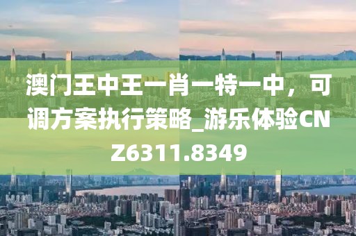 澳门王中王一肖一特一中，可调方案执行策略_游乐体验CNZ6311.8349
